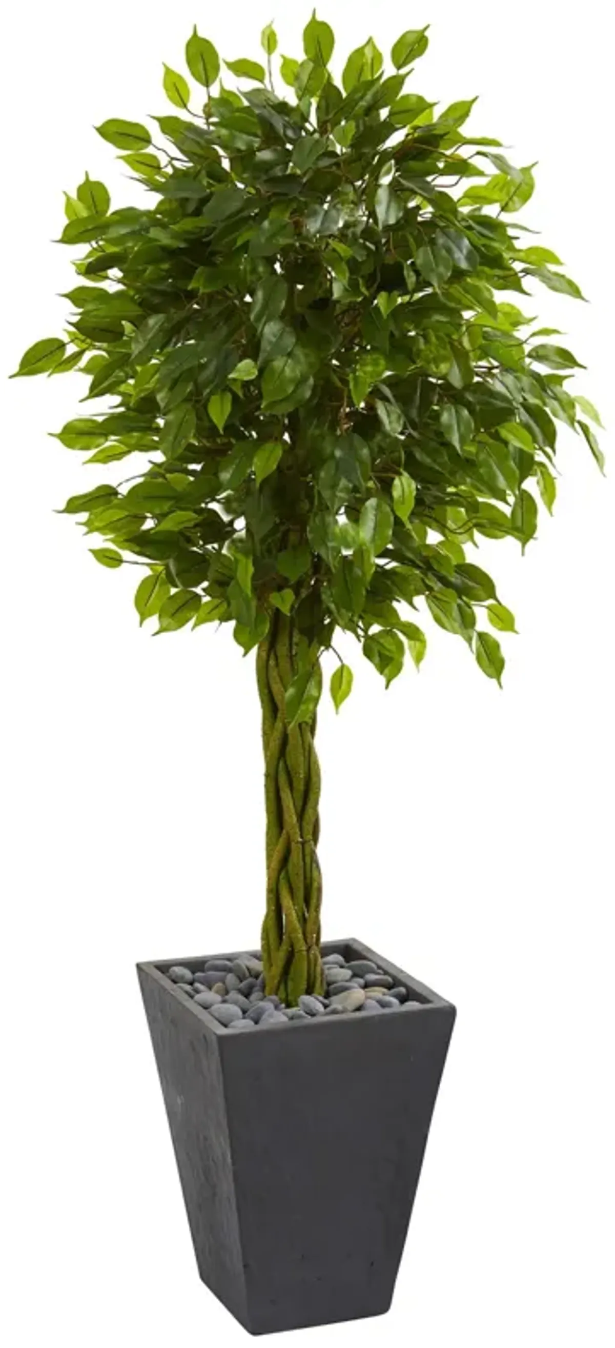 Hivvago 5 Feet Braided Ficus Artificial Tree in Slate Planter UV Resistant (Indoor/Outdoor)