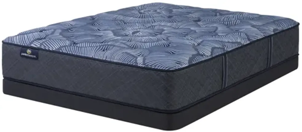 Perfect Sleeper Twin Bridges Plush Queen Mattress