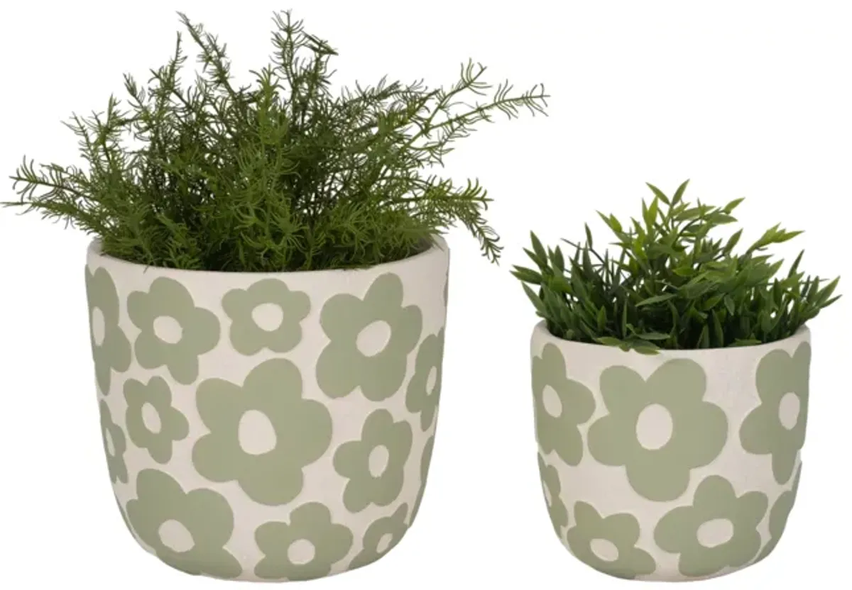 S/2 Lt Grn Flwr Power Plntrs