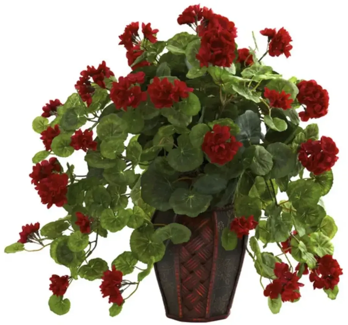 Hivvago Geranium w/Decorative Planter