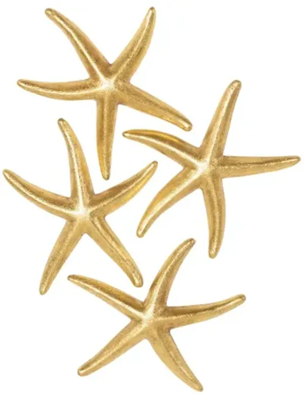 Starfish Small Set of 4