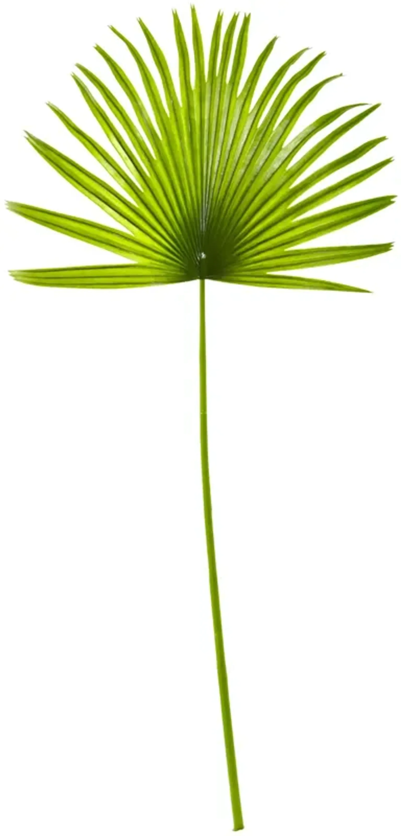 Hivvago 33'' Fan Palm Artificial Spray Plant (Set of 6)