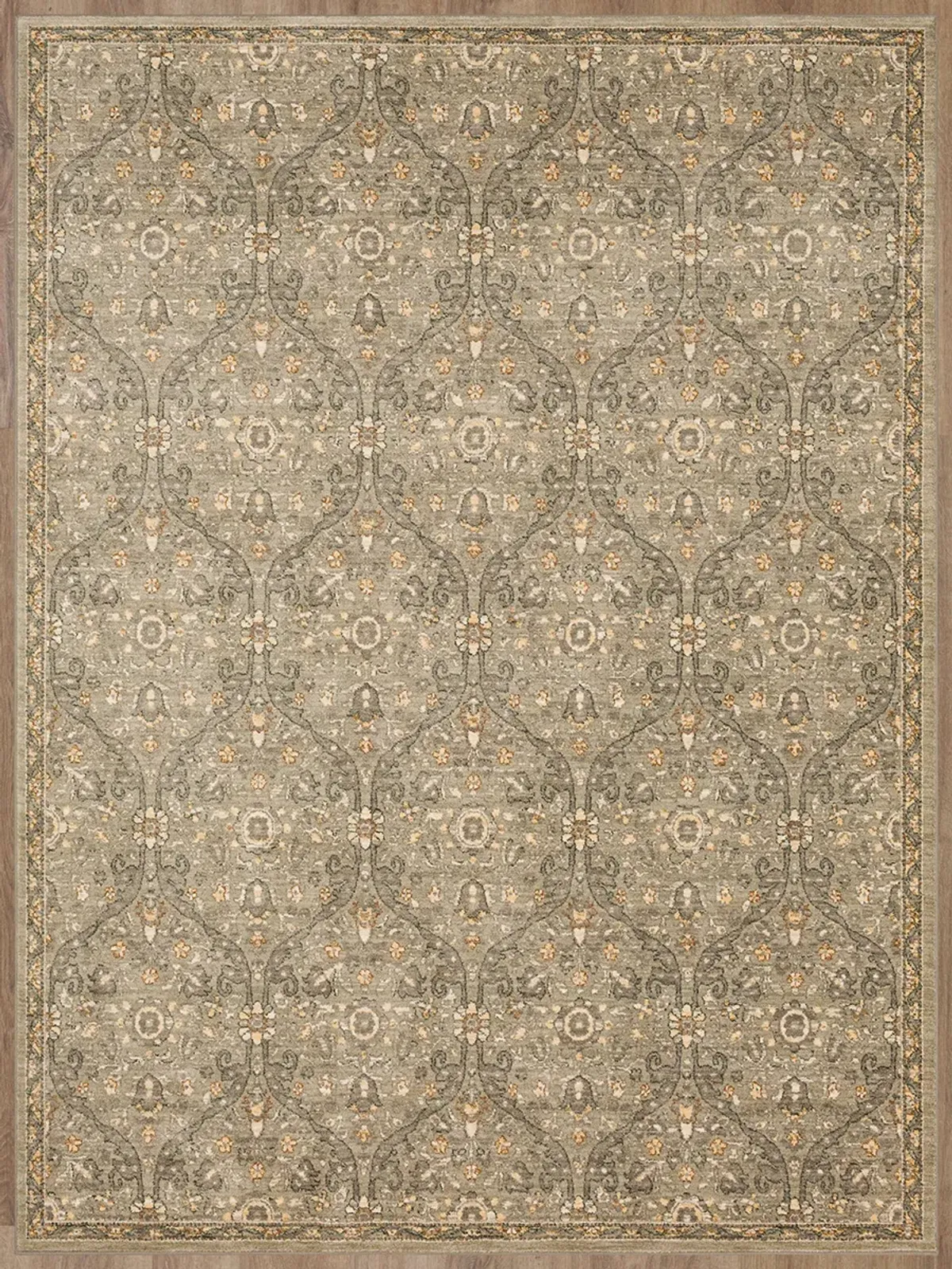 Euphoria Galway Willow gray 2' 4" X 7' 10" Rug