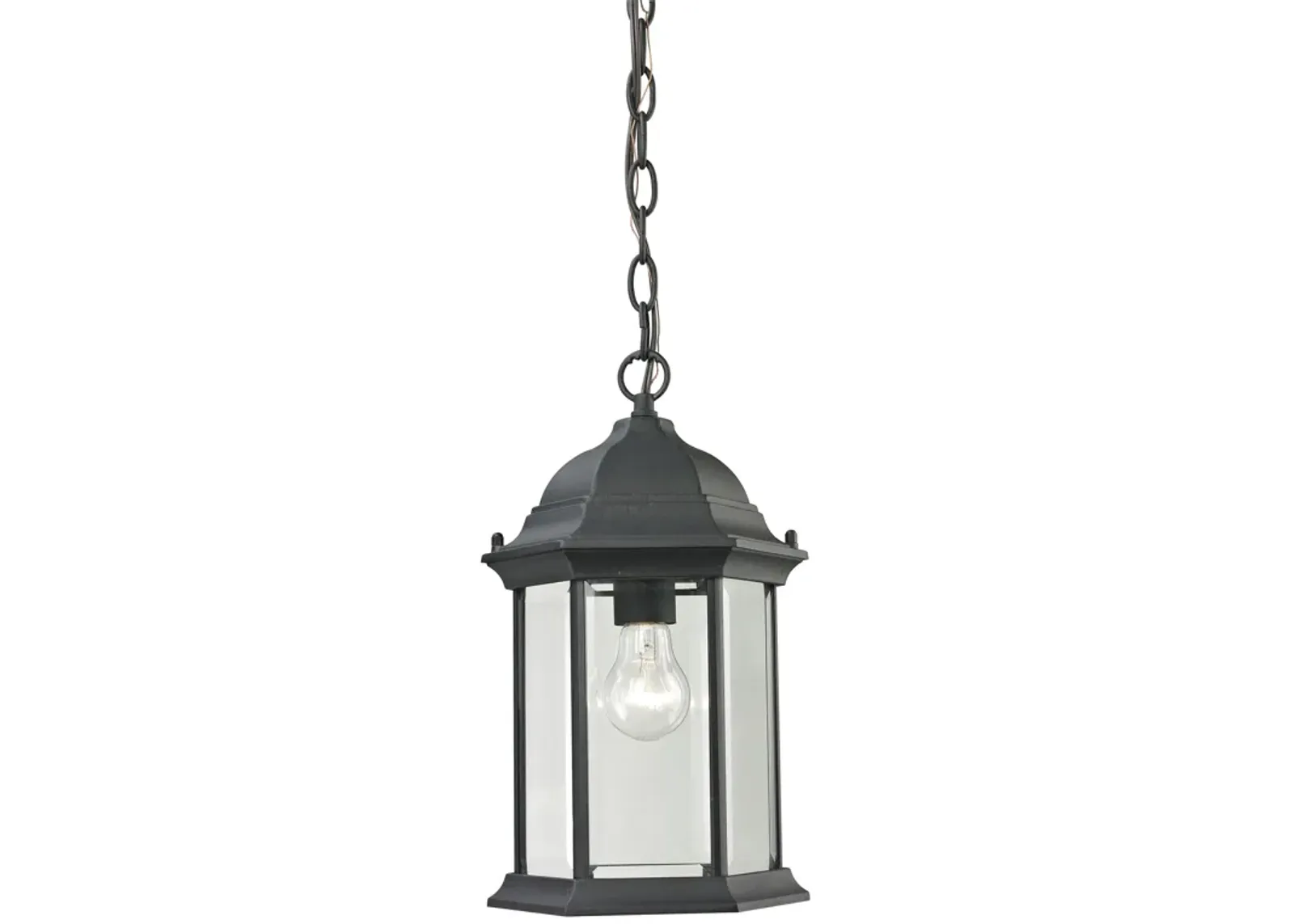 Spring Lake 8'' Wide 1-Light Outdoor Pendant