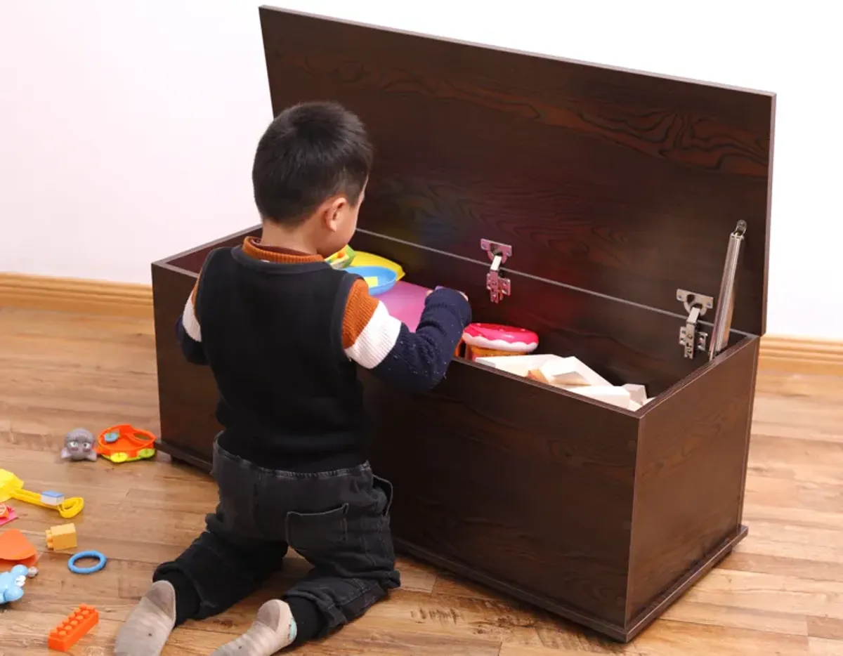 Large Storage Toy Box with Soft Closure Lid, Wooden Organizing Furniture Storage Chest, Brown