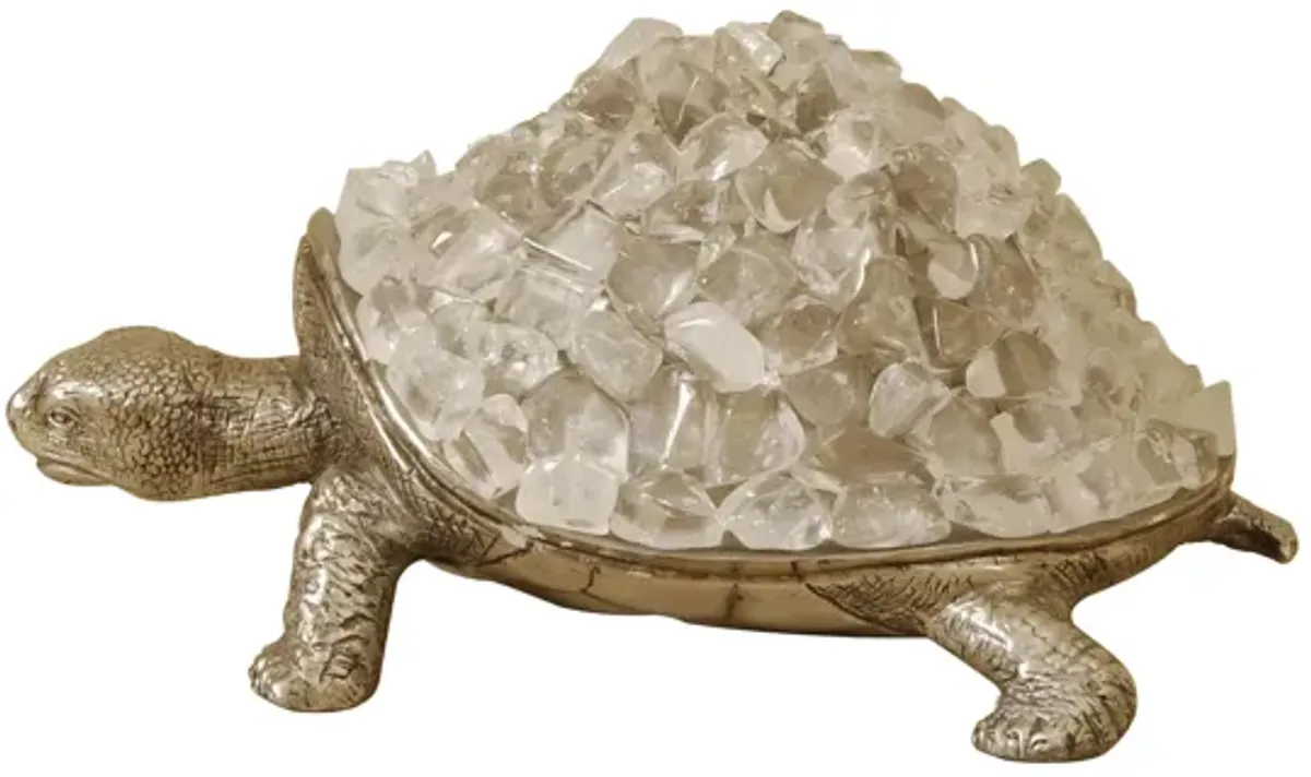 Rocky Turtle Accessory