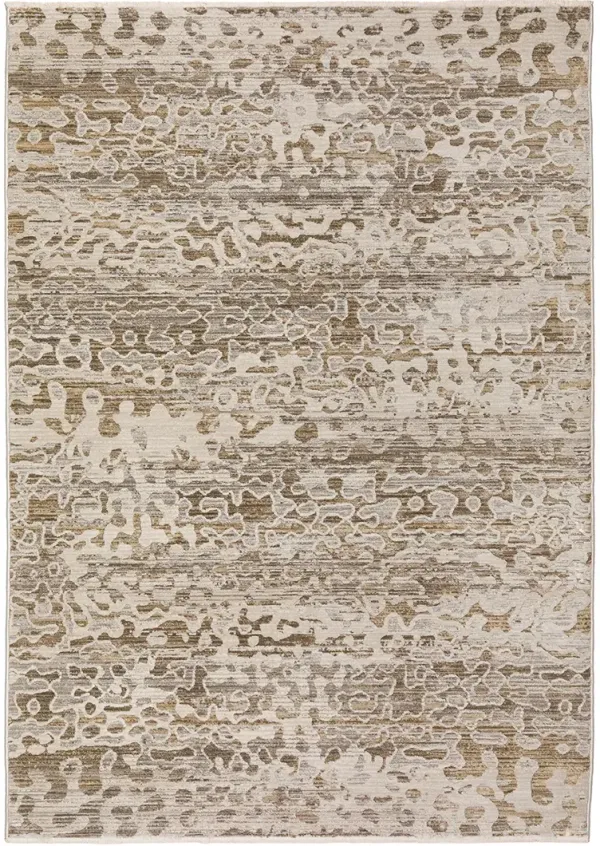 Denizi DZ6 Mocha 3'3" x 5'3" Rug