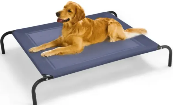Large Indoor Outdoor Camping Steel Frame Elevated Pet Cot Mat