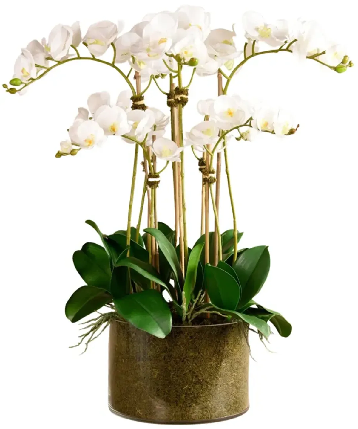 Large Faux Orchid Arrangement In Glass Vase - 33”