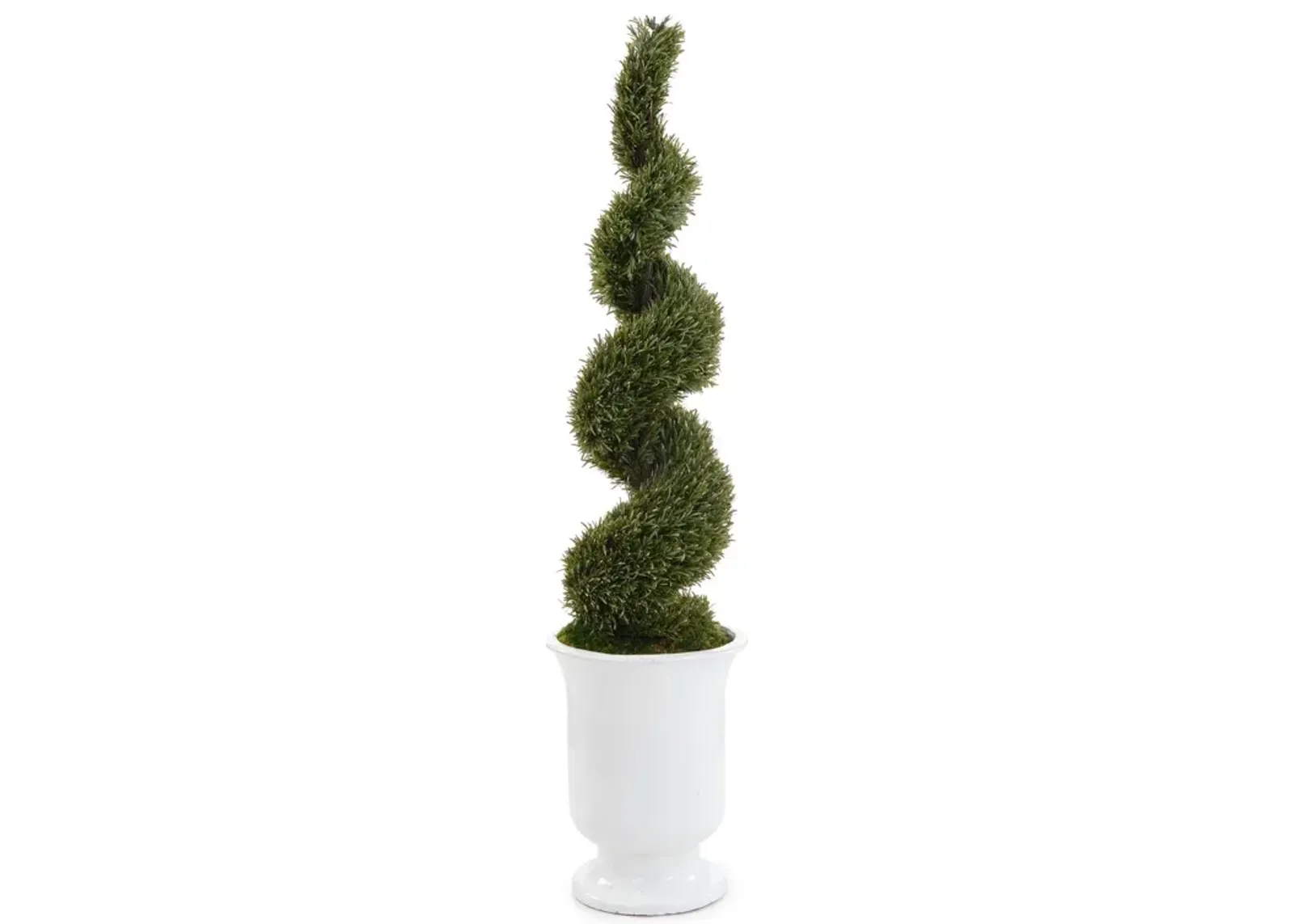 French Versia Topiary