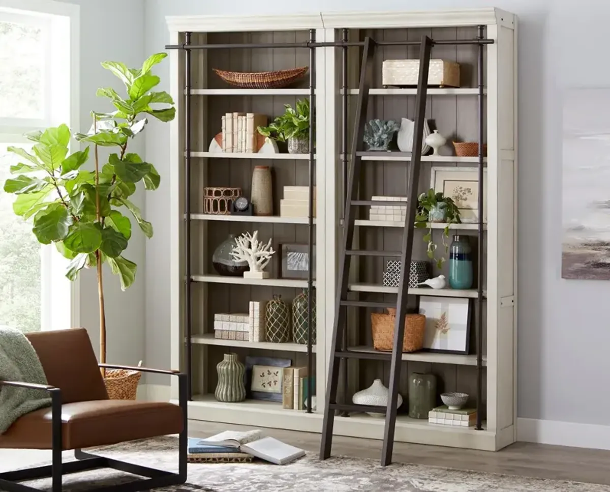 Bookcase with Ladder