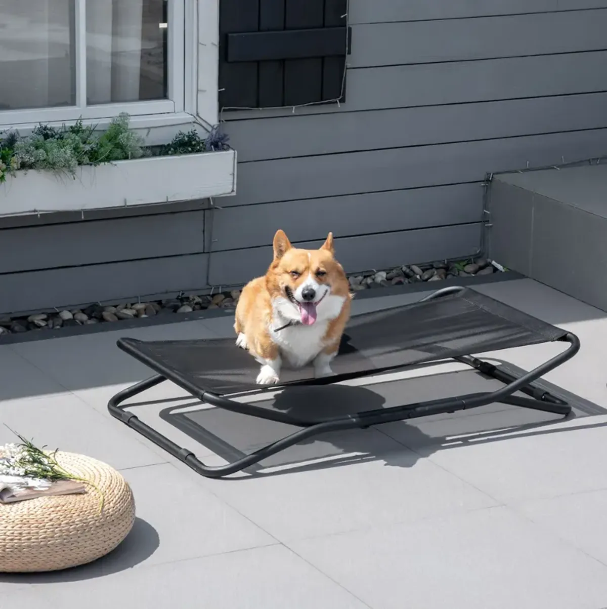 Black Pet Comfort: 44" Cooling Elevated Foldable Dog Bed