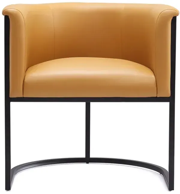 Cosmopolitan Brown Dining Chairs (Set of 2)