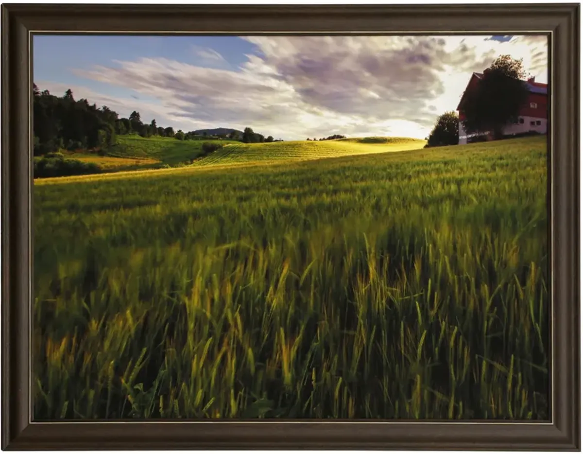 Fields Of Gold