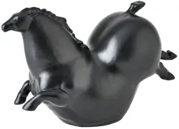 Black color