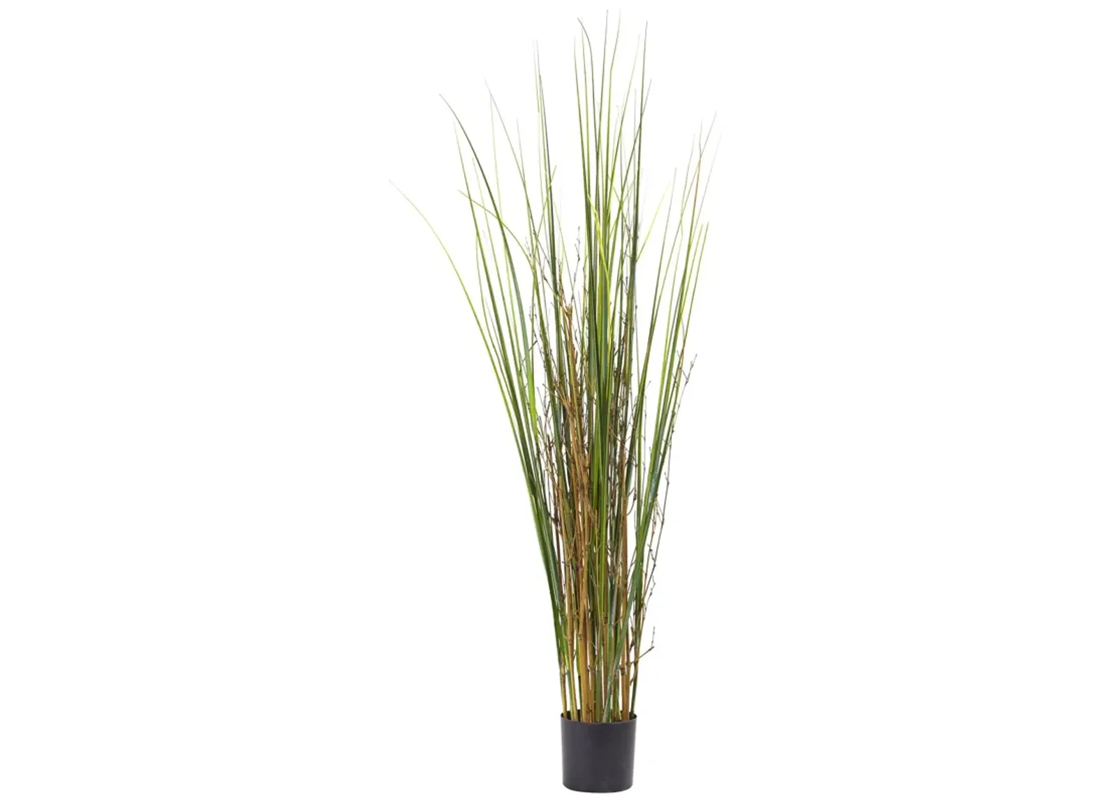 HomPlanti 4' Grass & Bamboo Plant