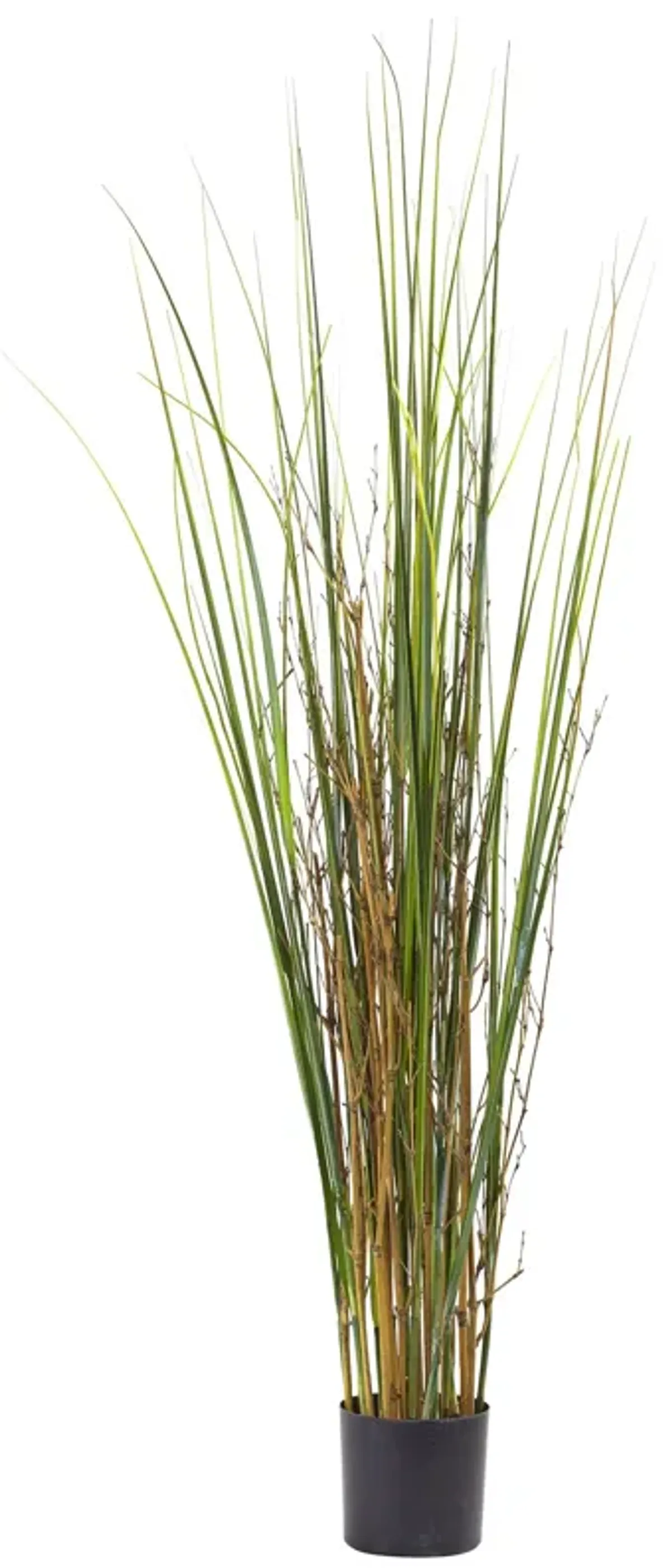 HomPlanti 4' Grass & Bamboo Plant