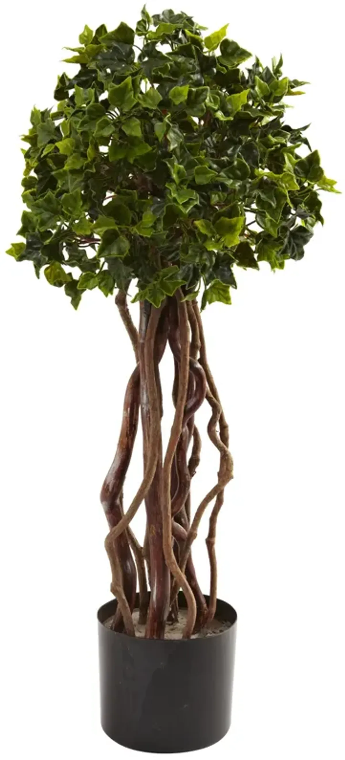 HomPlanti 2.5 Feet English Ivy Topiary UV Resistant (Indoor/Outdoor)