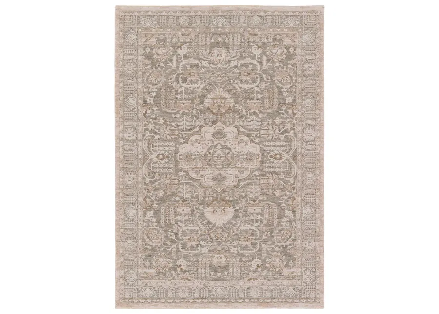 Lilit Acair Tan/Taupe 8' x 10' Rug