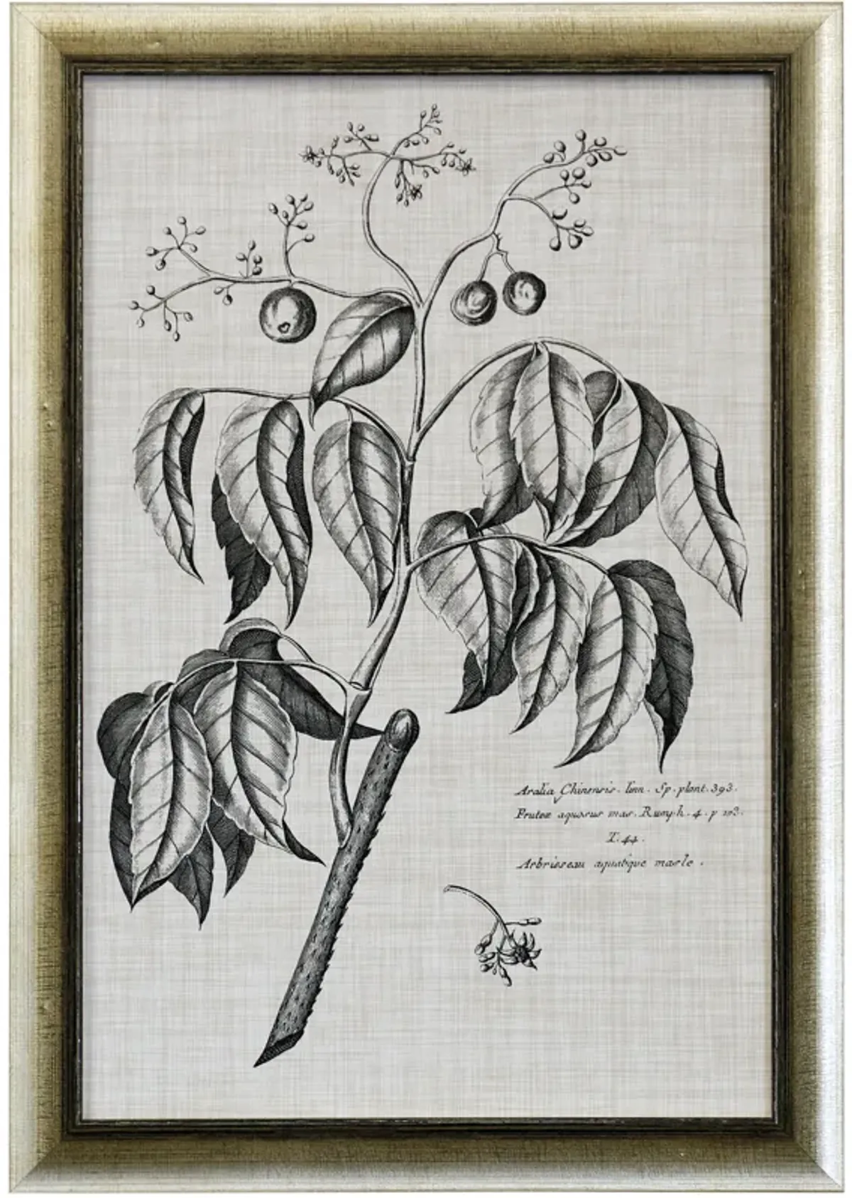 Black & Oatmeal Botanical IX