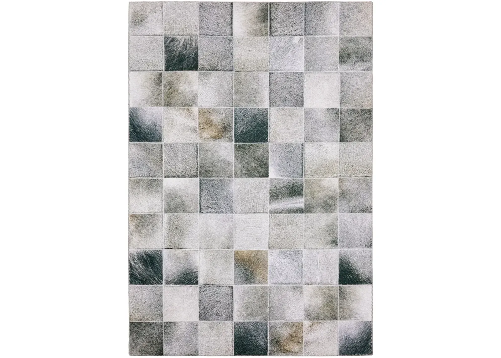 Myers Park 5' x 7' Grey Rug