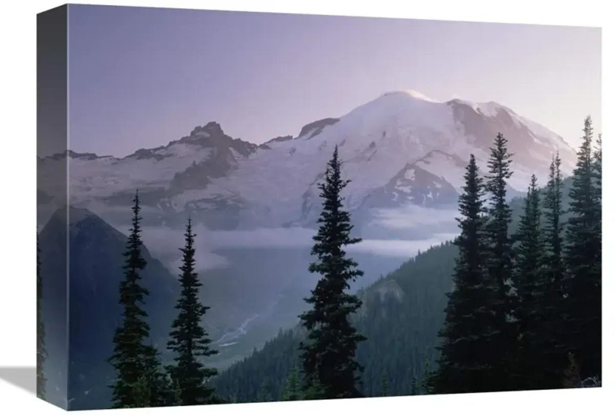 Mt Rainier as seen at sunrise, Mt Rainier National Park, Washington-Canvas Art-16x12