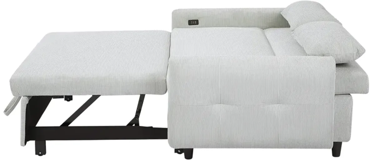 Merax Pull-out Sofa Bed Convertible Couch