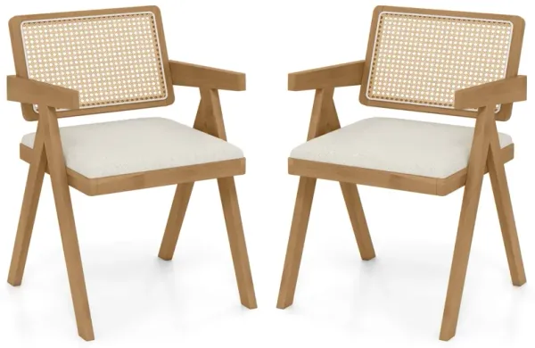 Coastal Style Rattan Accent Chairs with Cushions and Rubber Wood Legs, Set of 2