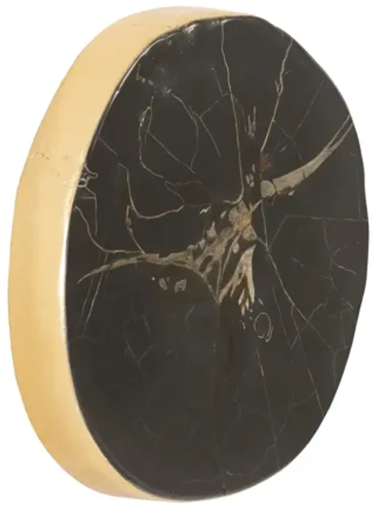 Cast Petrified Wood Round Wall Tile