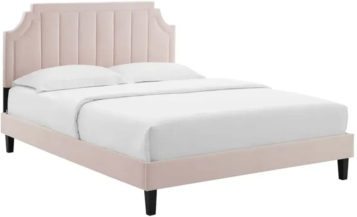 Modway - Sienna Performance Velvet Queen Platform Bed