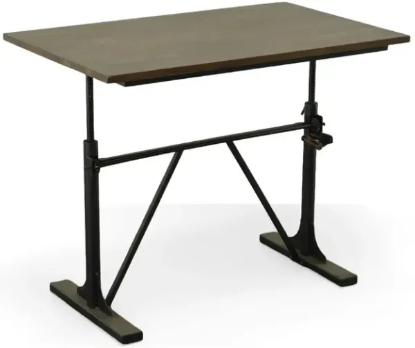 Carolina Living Brio Sit or Standing Adjustable Desk - Elm Top - Black Base