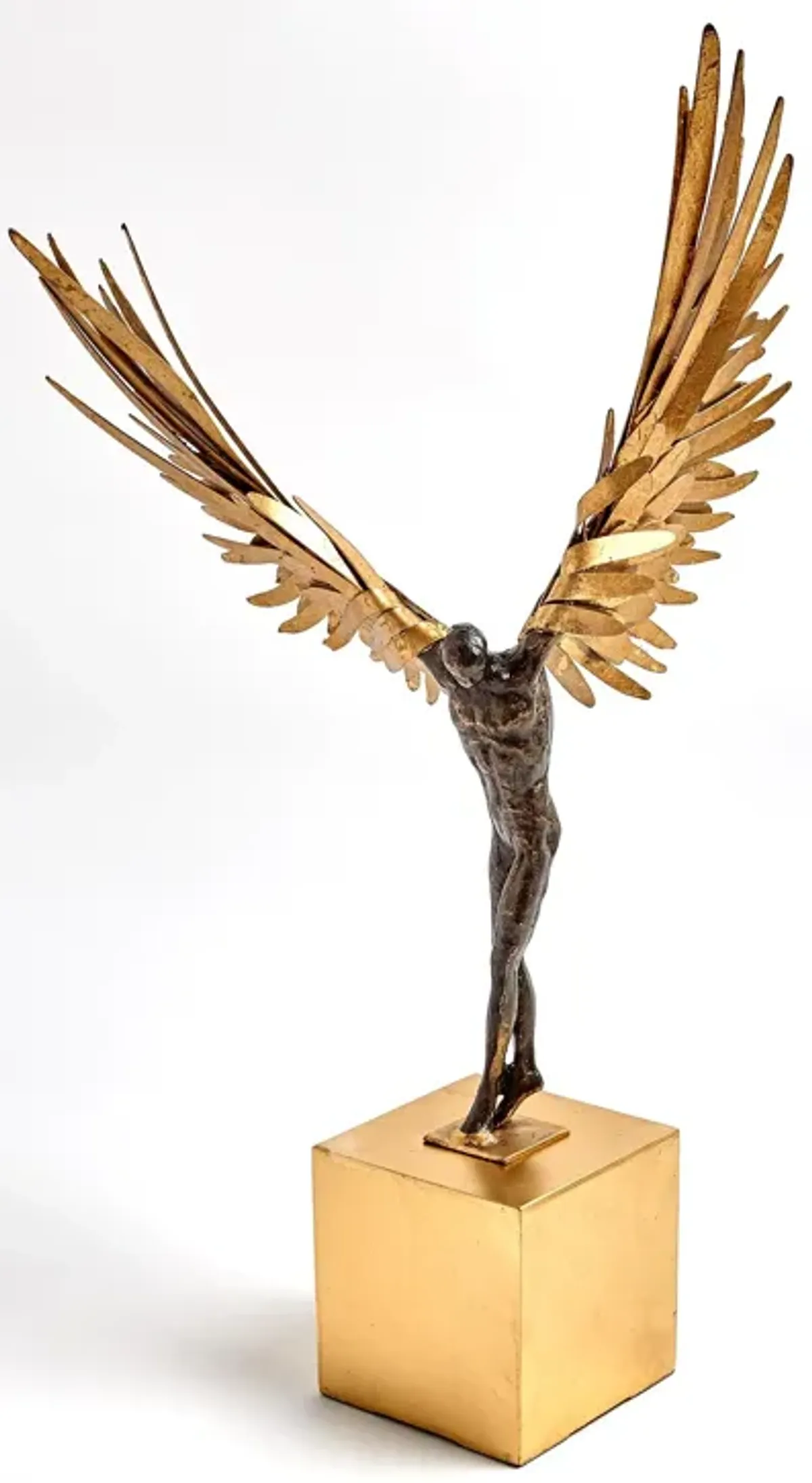 Avian Man