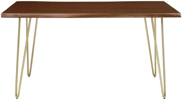 Modway - Ardor 60" Live Edge Acacia Wood Dining Table Gold Walnut