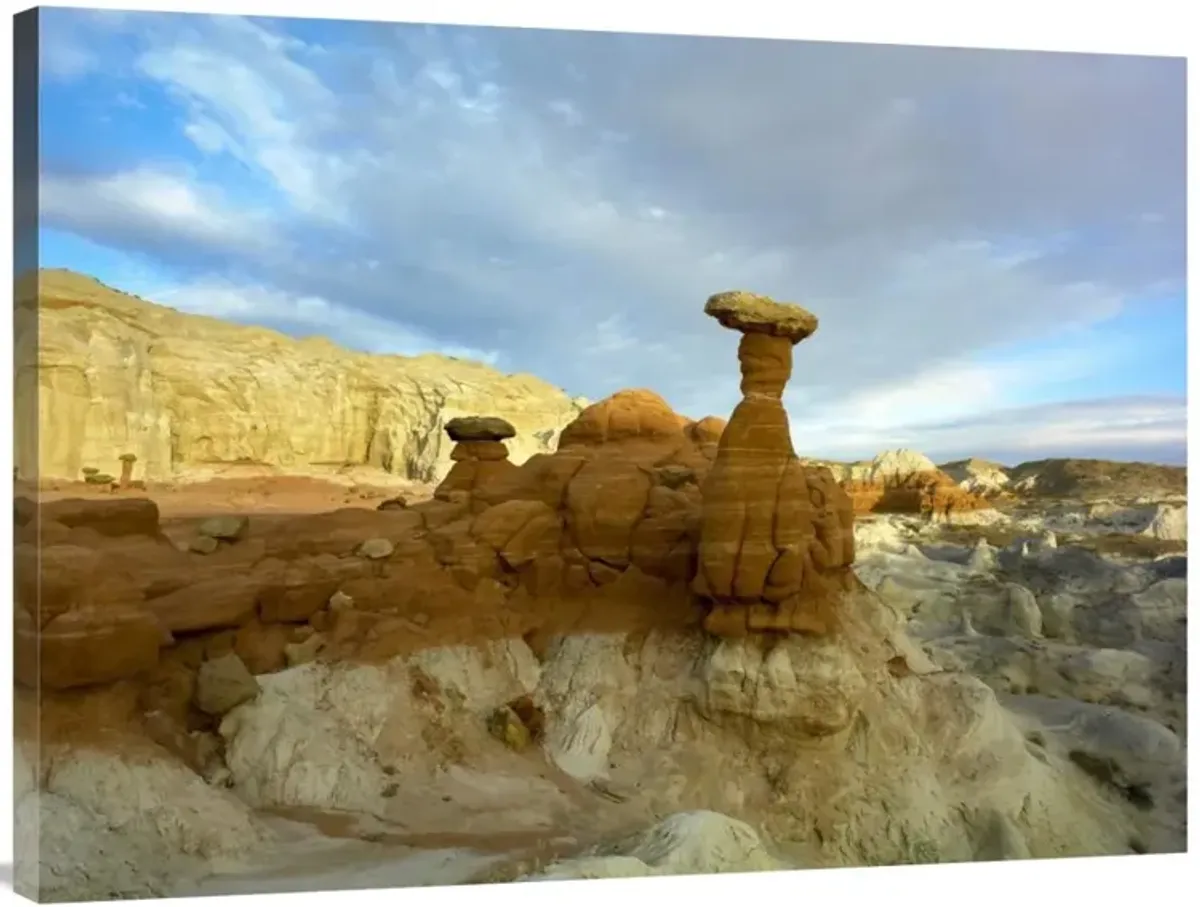 Toadstool Caprocks, Grand Staircase, Escalante National Monument, Utah-Canvas Art-40x30