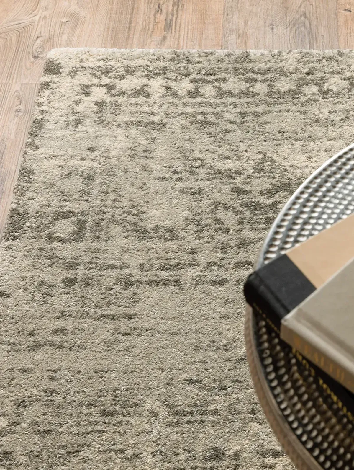 Astor 3'10" x 5'5" Beige Rug