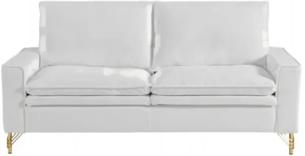 Indoor Double Sofa Stylish and Comfortable Seating for Living Room or Lounge