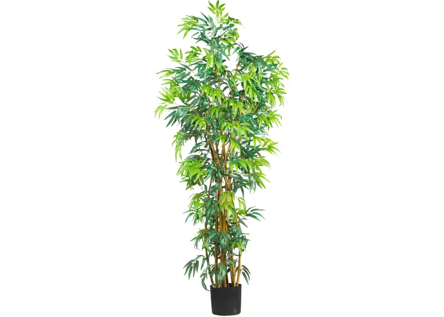 HomPlanti 6 Feet  Fancy Style Bamboo Silk Tree