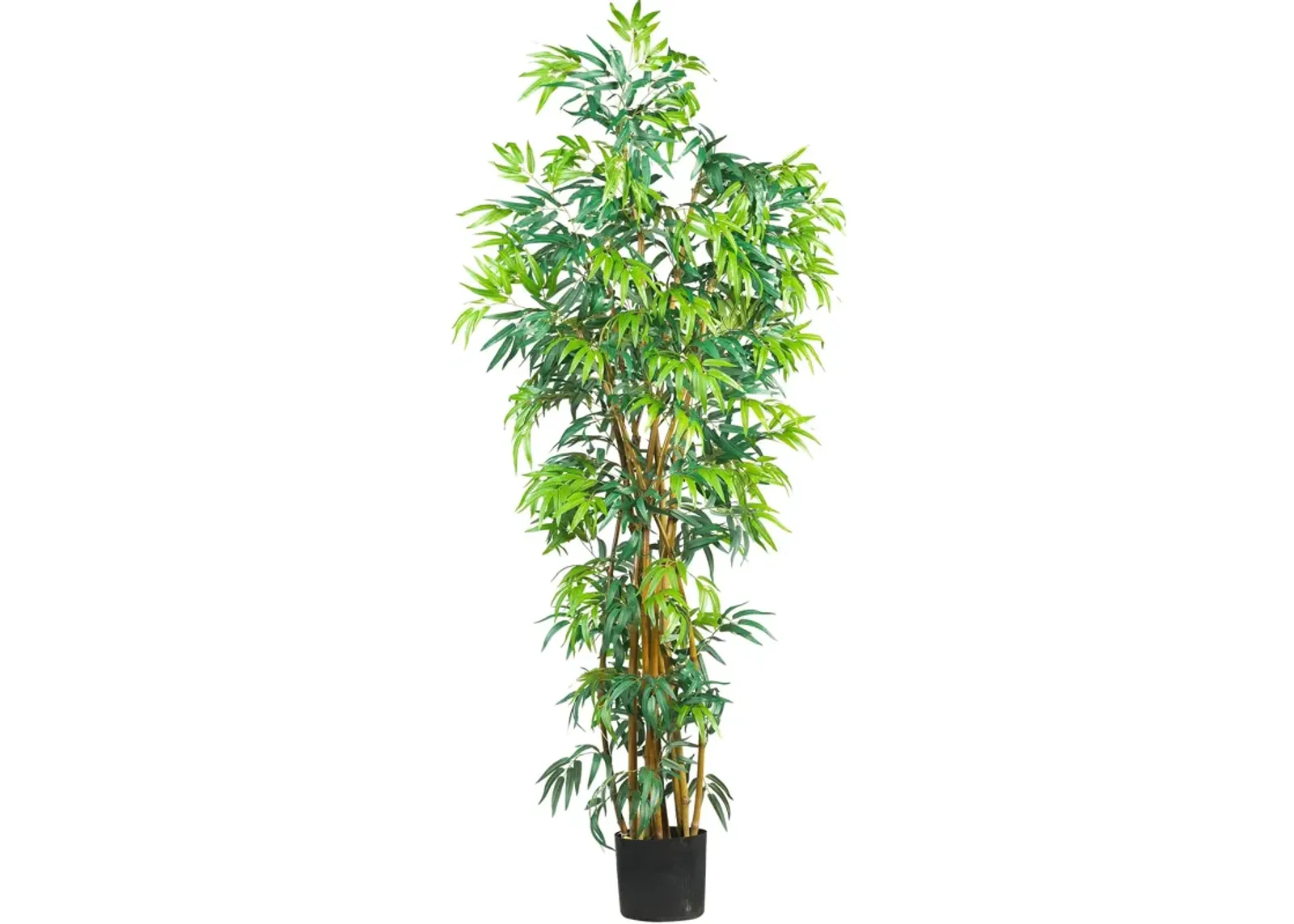 HomPlanti 6 Feet  Fancy Style Bamboo Silk Tree