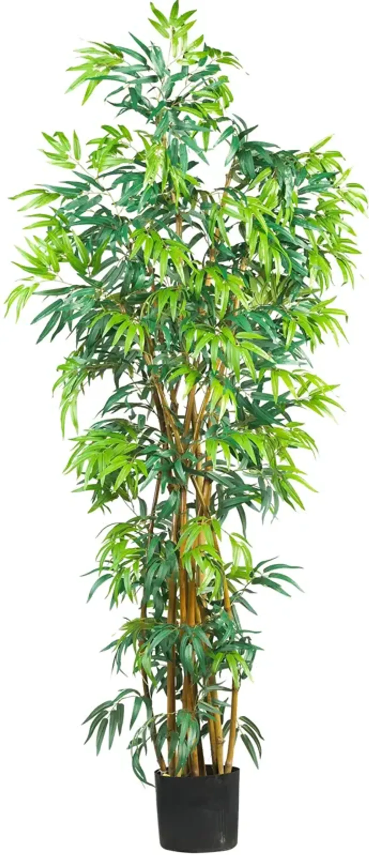 HomPlanti 6 Feet  Fancy Style Bamboo Silk Tree