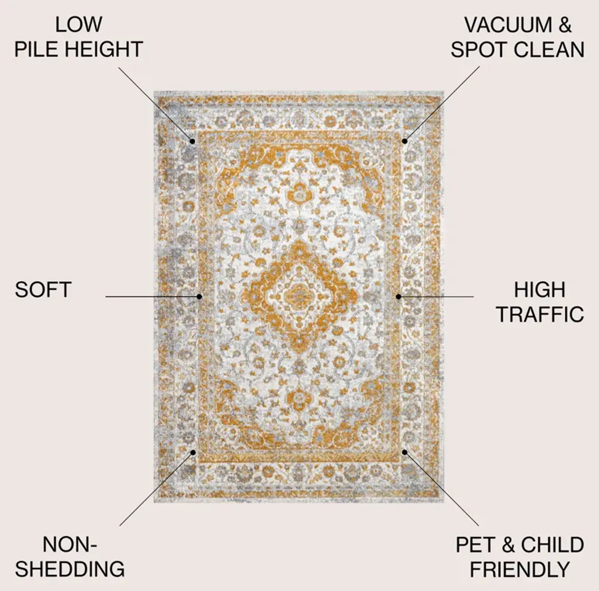 Indhira Ornate Medallion Persian Area Rug