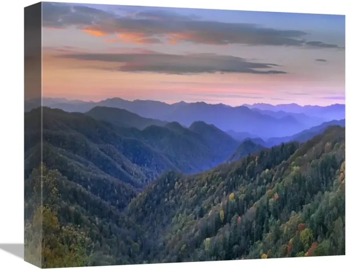 Deciduous forest covering mountains, Newfound Gap, Great Smoky Mountains National Park, North Carolina-Canvas Art-16x13.44