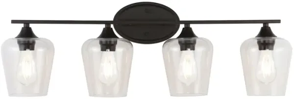 Jayne Iron/Glass Cottage Rustic LED Vanity Light