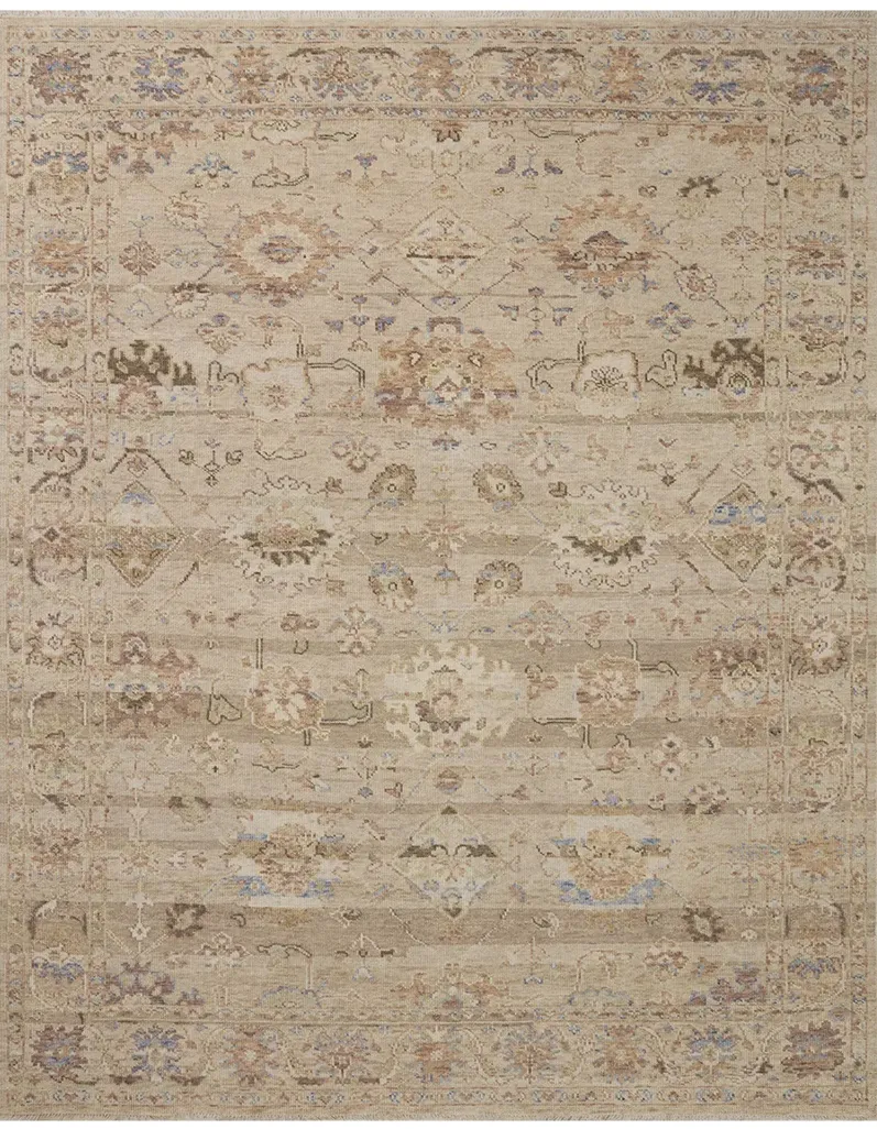 Dominic DOM02 Blush/Taupe 9'6" x 13'6" Rug