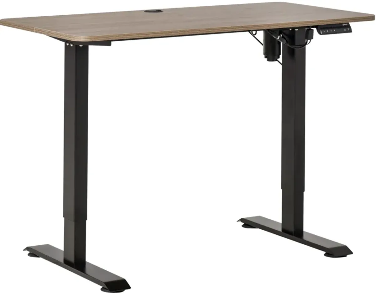 Teak/Black Adjustable Desk: 48" Electric Standing Desk with Memory Settings