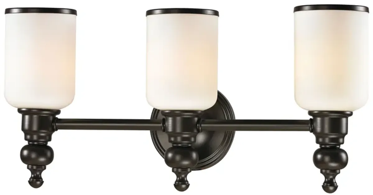 Bristol 21'' Wide 3-Light Vanity Light