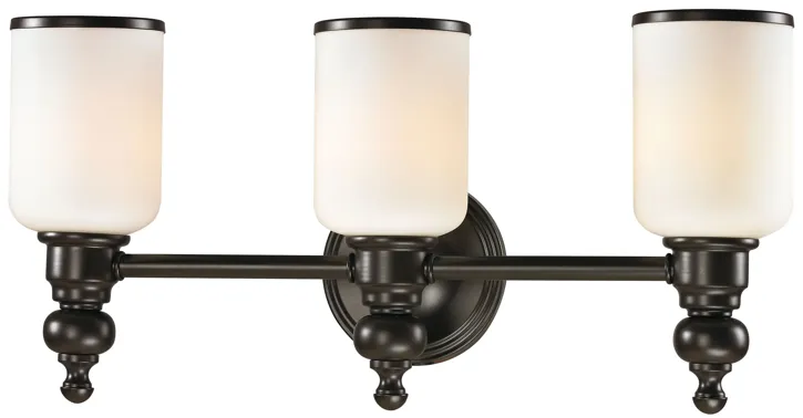 Bristol 21'' Wide 3-Light Vanity Light