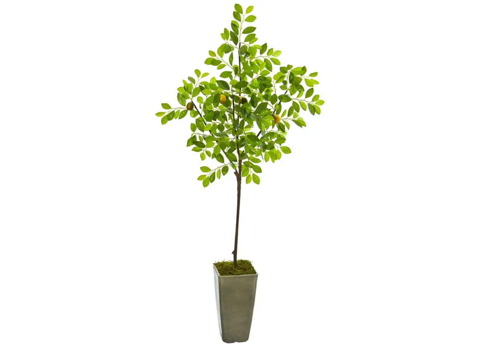 HomPlanti 6 Feet Lemon Artificial Tree in Olive Green Planter