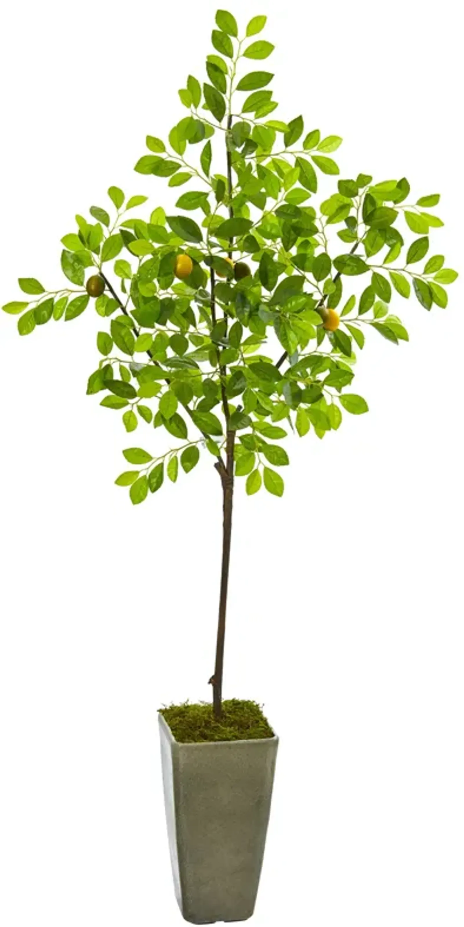 Hivvago 6 Feet Lemon Artificial Tree in Olive Green Planter