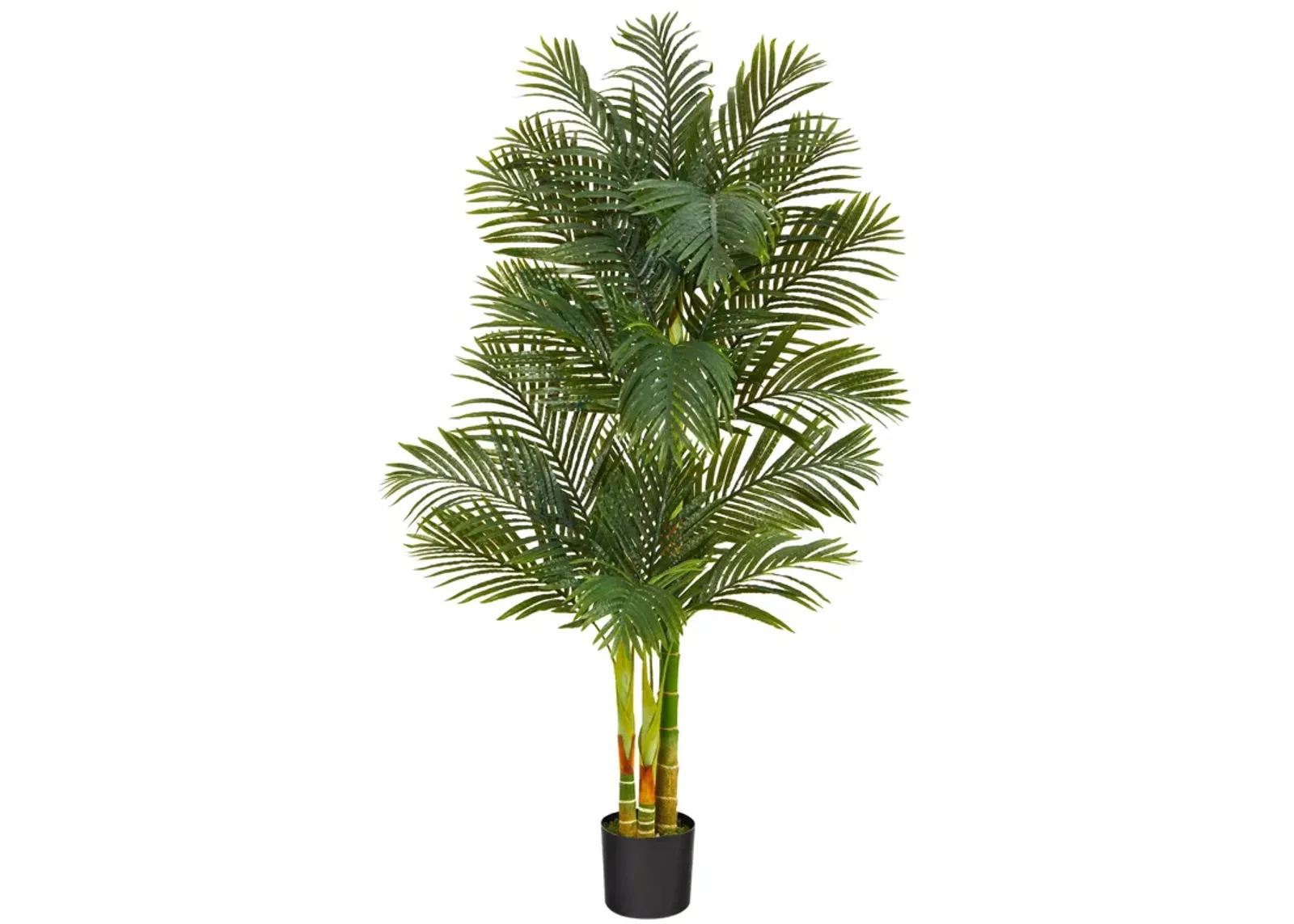 HomPlanti 6 Feet Triple Stalk Golden Cane Artificial Palm Tree