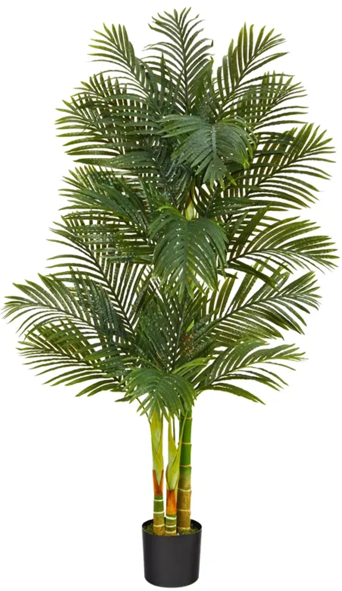 HomPlanti 6 Feet Triple Stalk Golden Cane Artificial Palm Tree